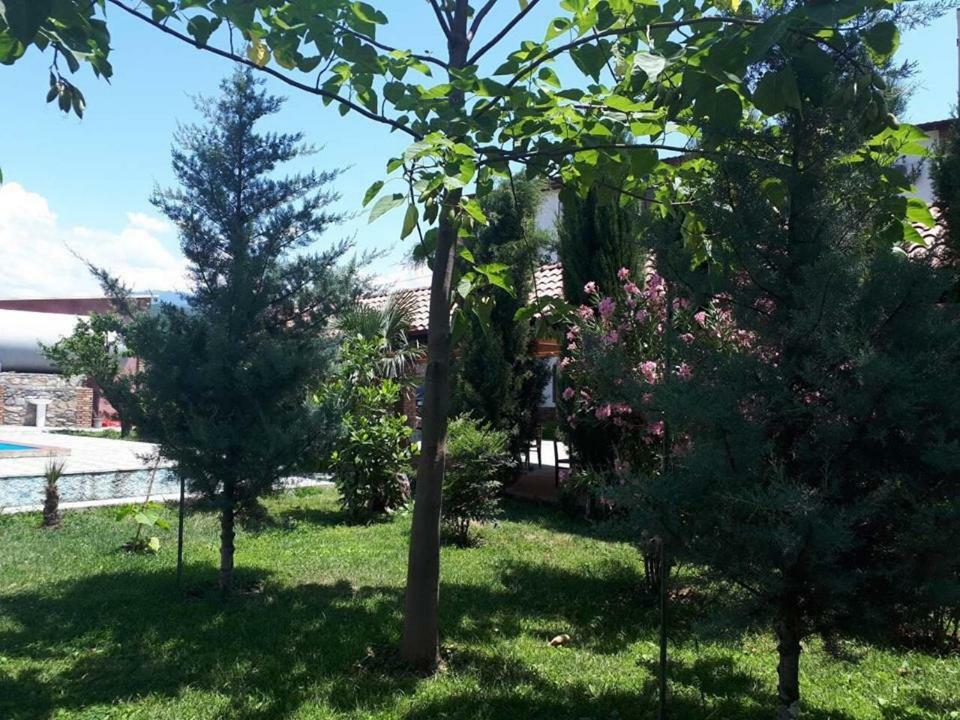 Shaloshvili'S Cellar Hotel Shilda Extérieur photo